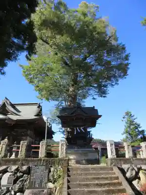 諏訪神社のその他建物