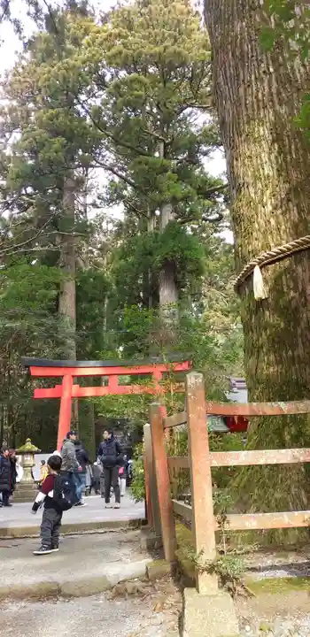 箱根神社のその他建物