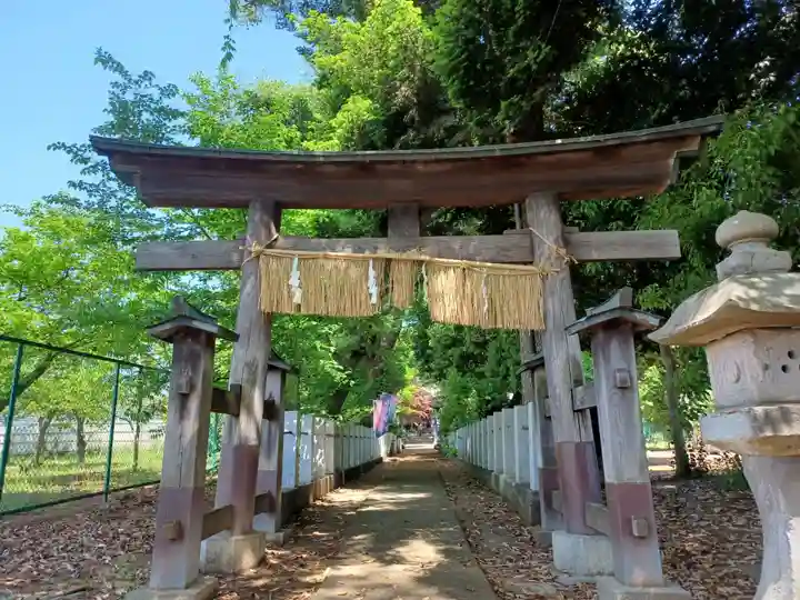馬場氷川神社の鳥居