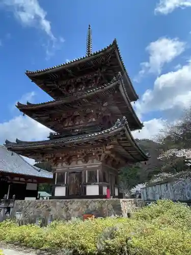 南法華寺（壷阪寺）(奈良県)
