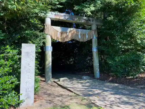 大國玉神社の鳥居