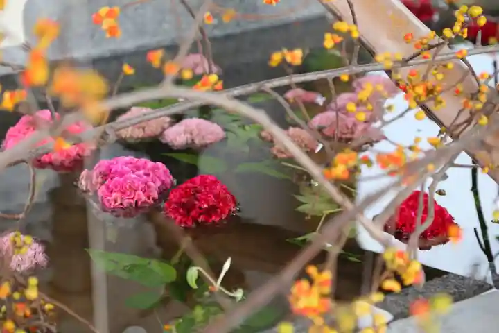 樽前山神社の手水舎
