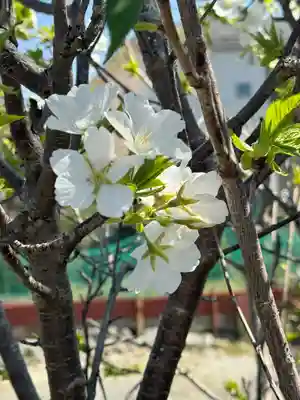 妙蓮寺(神奈川県)