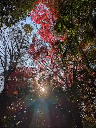 大神神社(奈良県)