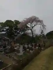 時宗総本山 遊行寺（正式：清浄光寺）(神奈川県)