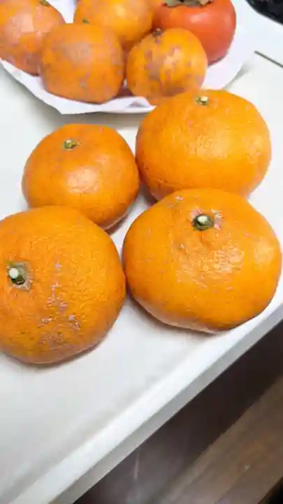 持宝院の授与品その他