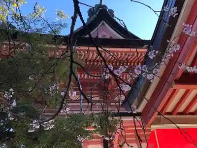 津島神社のその他建物