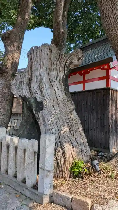 姫嶋神社(大阪府)