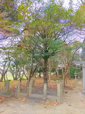 天満神社の自然