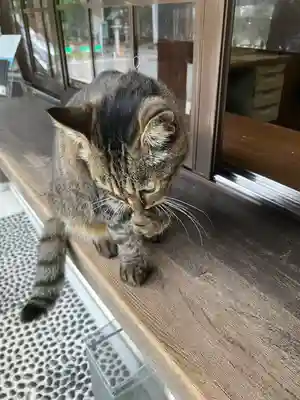 山梨縣護國神社(山梨県)