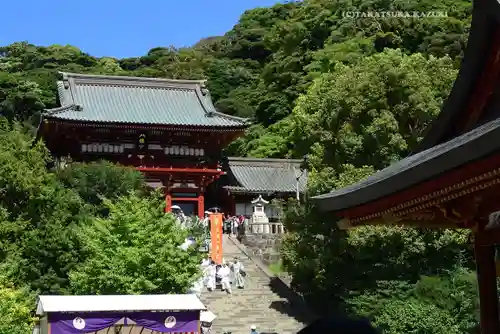 鶴岡八幡宮のお祭り