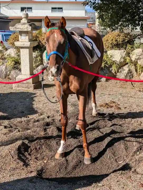 賀茂神社の{uncategorized: "未分類", other: "その他", undefined: "問題あり", building: "その他建物", grave: "お墓", sacred_gate: "鳥居", guardian: "狛犬", statue: "像", buddha: "仏像", history: "歴史", nature: "自然", garden: "庭園", animal: "動物", pagoda: "塔", temizu: "手水舎", mountain_gate: "山門・神門", sanctuary: "本殿・本堂", subordinate: "末社・摂社", art: "芸術", scenery: "景色", jizo: "地蔵", ema: "絵馬", goshuin: "御朱印", omikuji: "おみくじ", items: "授与品その他", amulet: "お守り", goshuincho: "御朱印帳", eats: "食事", festival: "お祭り", votive_dance: "神楽", shichigosan: "七五三参", wedding: "結婚式", experience: "体験その他", initially: "初詣", around: "周辺", anti_infection: "感染症対策"}