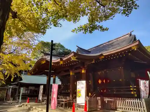 渋谷氷川神社(東京都)