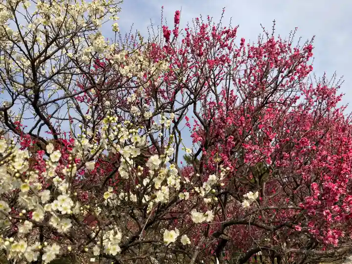 曽根天満宮の自然