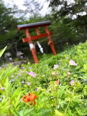 山の神神社(長野県)