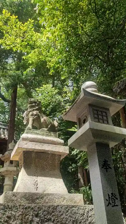 田井八幡宮(岡山県)