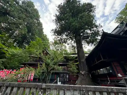 北口本宮冨士浅間神社(山梨県)