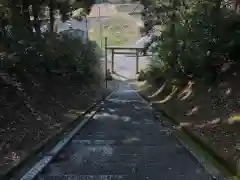 市野郷神社の建物その他