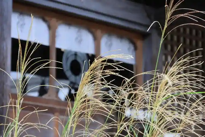 神炊館神社 ⁂奥州須賀川総鎮守⁂の本殿・本堂