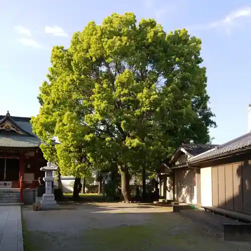 香取神社の自然