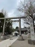 浅草神社の鳥居