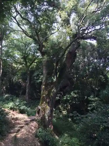 奈良豆比古神社の周辺