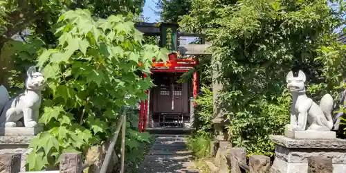 大山稲荷神社の狛犬