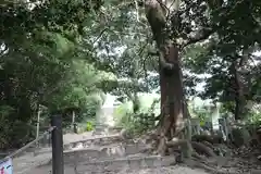 天拝神社（菅原神社）(福岡県)