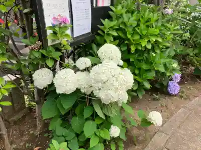 浄勝寺(千葉県)