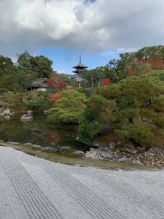 仁和寺の庭園