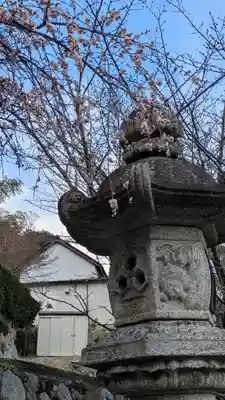 最乗院(滋賀県)