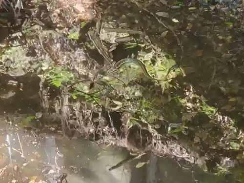 光明寺のその他建物