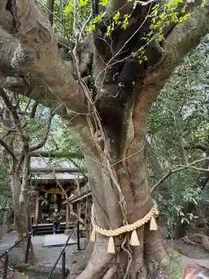 八大龍王水神(宮崎県)