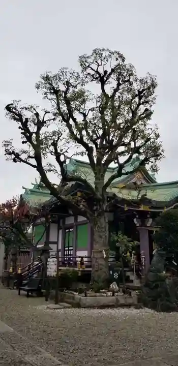 高木神社の自然