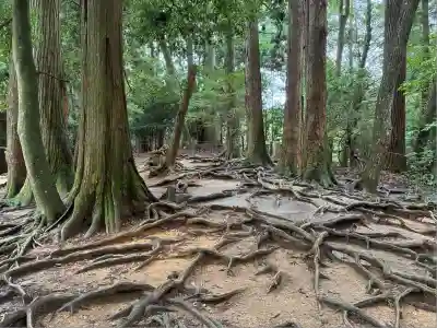 鞍馬寺奥の院 魔王殿(京都府)