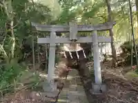 吉田杉山神社の鳥居