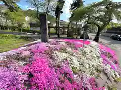 山家神社の自然