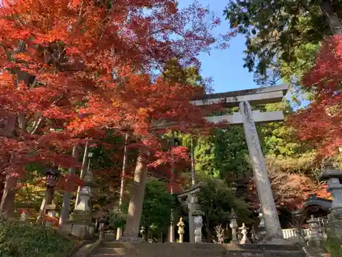 岡太神社の鳥居