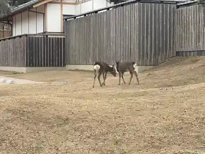 東大寺戒壇院戒壇堂(奈良県)