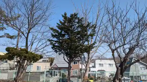 西の里神社の自然