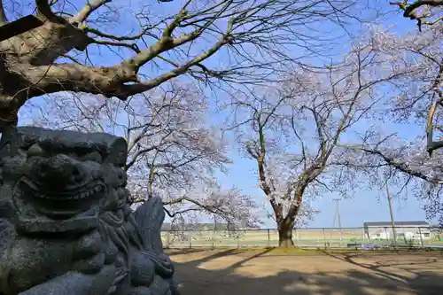 櫻井神社(新潟県)