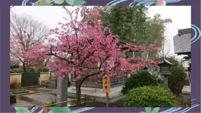 芳林寺(埼玉県)