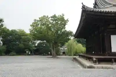 蓮華王院（三十三間堂）のその他建物