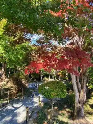 宝徳寺(群馬県)