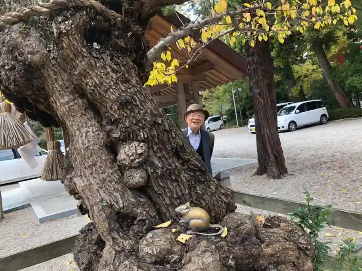 射水神社(富山県)