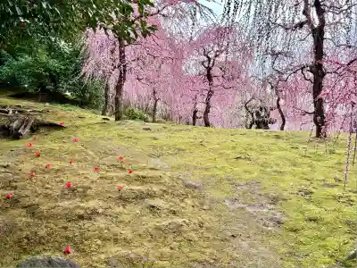 城南宮(京都府)