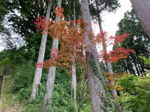 天照神社の自然