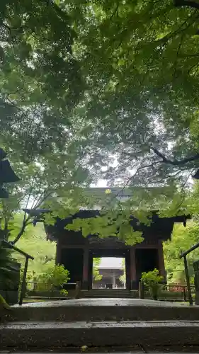 妙本寺(神奈川県)