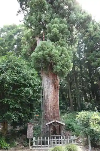 大中寺(栃木県)