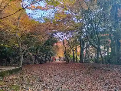 金剛院(京都府)